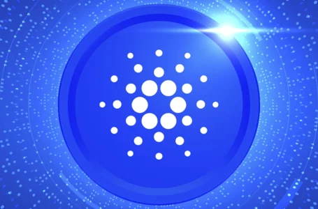 Cardano Active Users Remain Constant Past 100,000: Details