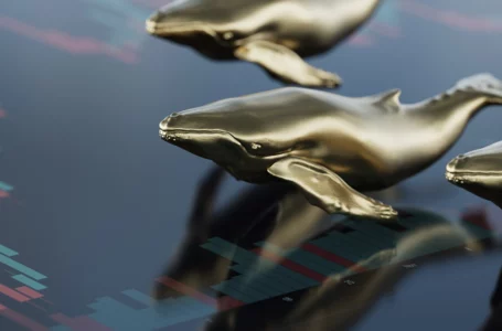 SHIB, MATIC, SAND, FTT Are Among Top 100 ETH Whales’ Holdings: Report