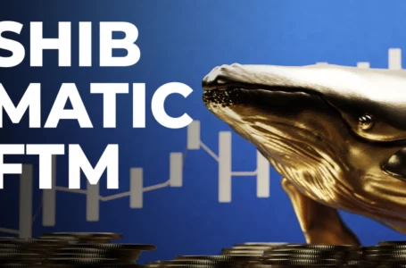 SHIB, MATIC, FTM Among Top Acquisitions of Whales in Past 24 Hours: Report