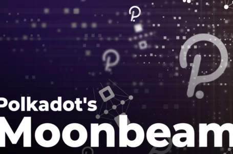 Polkadot’s Moonbeam Shares First Statistics: 3+ Million Transactions, 200K+ Wallets, What Else?