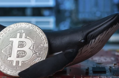 Bitcoin Whales in Uncertainty as BTC Fails to Hold Above $40,000