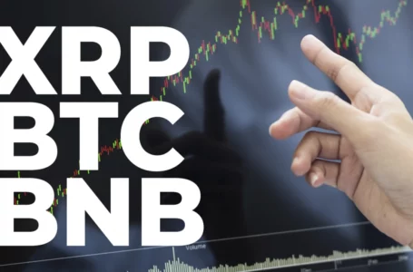 XRP, BTC, BNB Traders Believe Prices For These Coins Will Rise Soon: Report