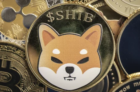50 Billion SHIB Grabbed by This Top SHIB Whale, He Now Owns 4 Trillion Tokens: Etherscan