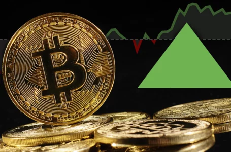 Here’s Scenario When Bitcoin Likely to Go Up: Peter Schiff