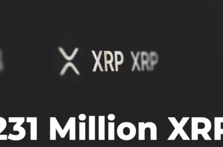 231 Million XRP Wired by FTX, Binance, KuCoin as XRP Is Trending