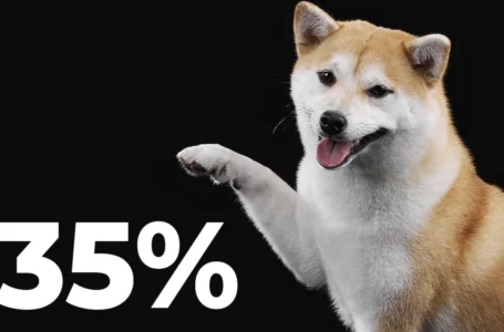 Shiba Inu Profitability Drops to 35% But Whales Are Undeterred: Details