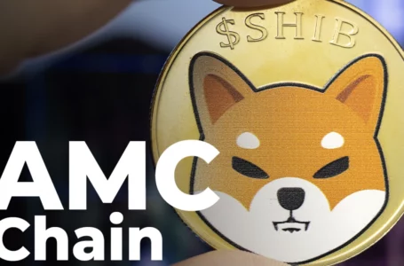 SHIB Accepting AMC Chain Buys Gold Mine: Details