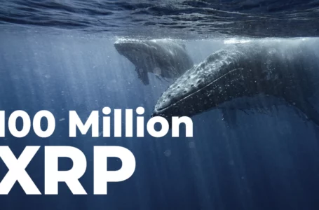 100 Million XRP Purchased by Whale as Coin Consolidates