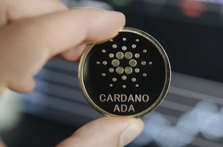 Cardano Among Top Five Fastest Developed Assets per Santiment Data: Details