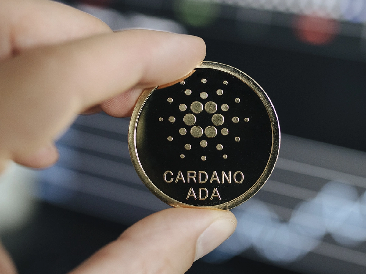 Cardano