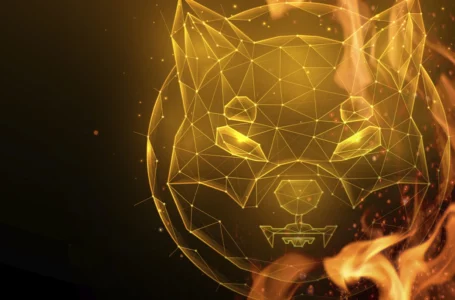 Close to 600 Million SHIB Prepared for Burning Today, 33 Tokens Destroyed Within 24+ Hours