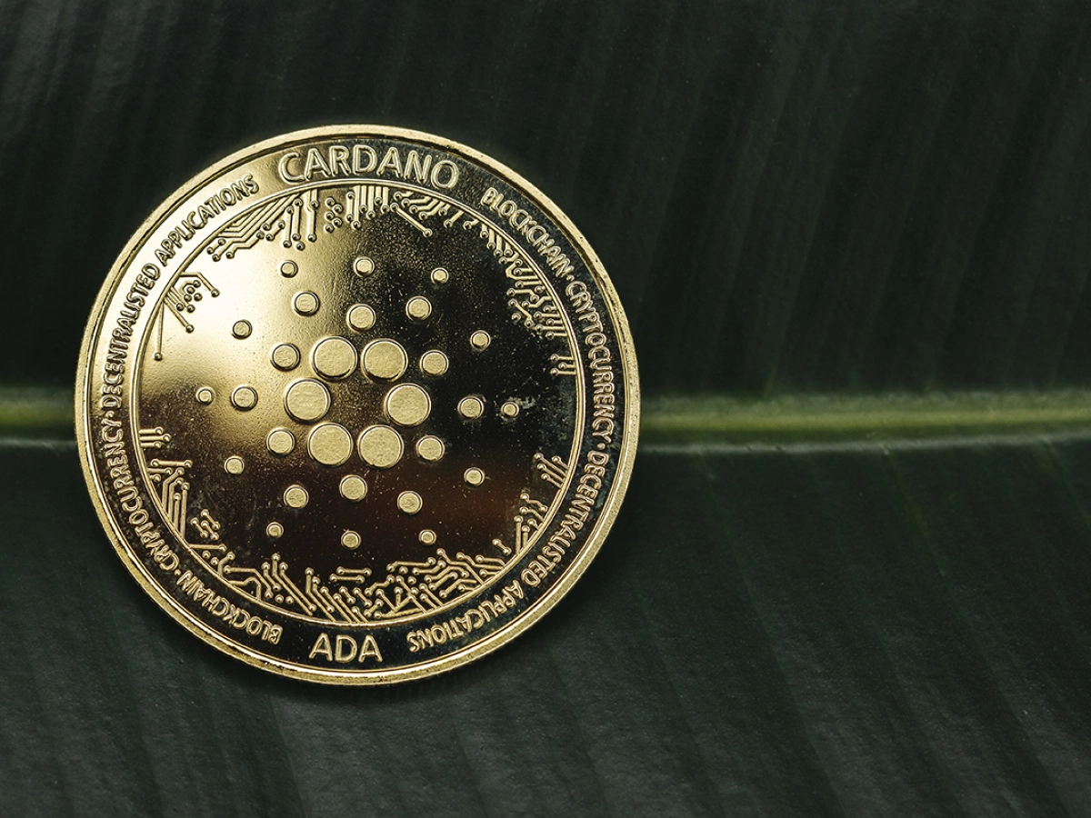 Cardano