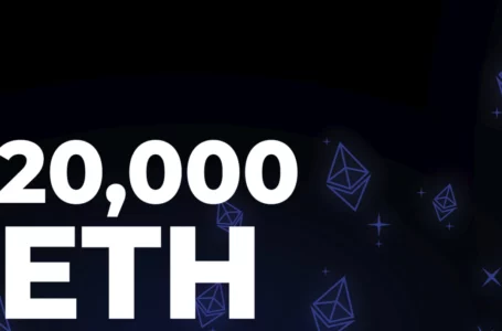 20,000 ETH Moved Between Wallets as Whales Continue to Buy: Details