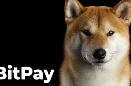 Shiba Inu and Dogecoin Now Accepted by U.S.-Based Logistics Firm in Partnership with BitPay: Details