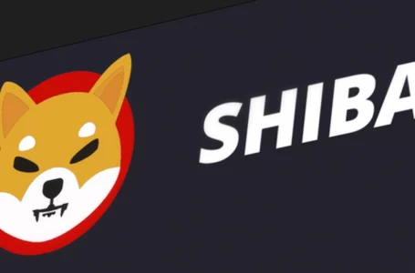 SHIB Returns to Top 10 List of Cryptos Whales Are Hungry For: Details