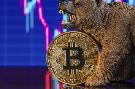 Here’s Why Bitcoin Bear Cycles Are Potentially Over
