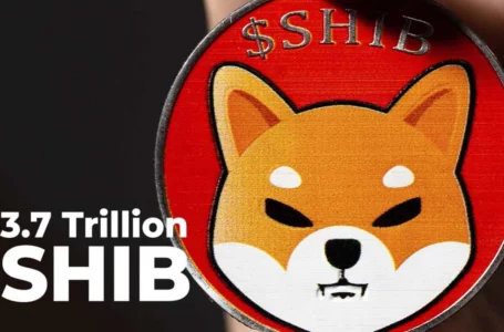 3.7 Trillion SHIB Lands in Whale’s Wallet After Massive Purchase: Details