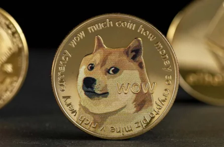 DOGE on Top 10 List of Coins Held by Biggest BSC Investors: Report