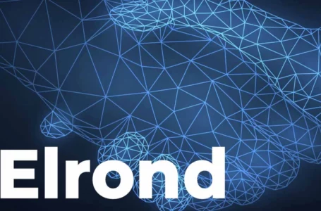 Elrond Announces Partnership to Access Markets in Over 200 Countries: Details