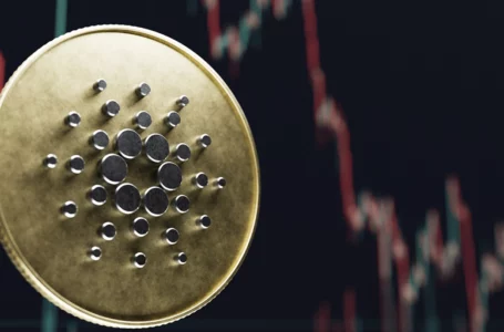 Cardano Records 13% Spike in Total Value Staked Amid Ecosystem Inflows: Details