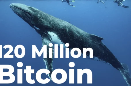 Anonymous Whale Suddenly Closes 120 Million Bitcoin Short on Market