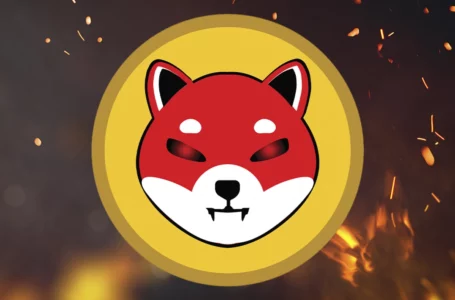 1.15 Billion SHIB Burned in 24 Hours, While 600 Million Target Set for Burning in 10 Days