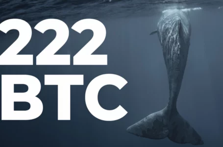 222 BTC Bought by Top Whale as Bitcoin Returns to $42K