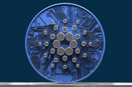Cardano (ADA) up 10% in Last 24 Hours as Accumulation Continues: IntoTheBlock