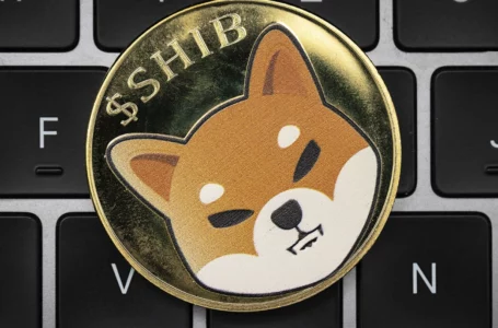 Shiba Inu’s Profitability Jumps to 41%, Price Tests Key Barrier