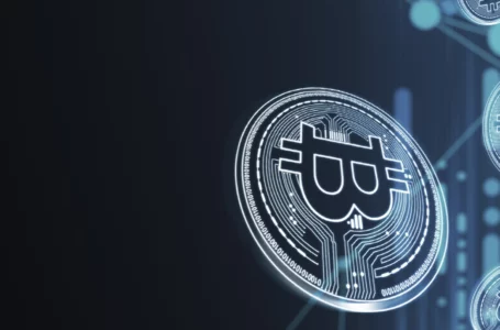 Bitcoin Broke New Record: 40 Million Holders and Counting