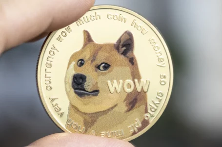 506.2 Million DOGE Shoveled by Robinhood and Anon Whale: Report