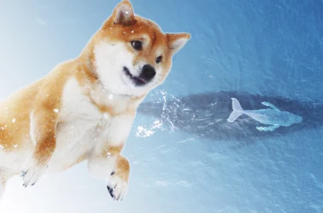 Shiba Inu Whale with 4 Trillion SHIB Increases Holdings; Here’s What Was Bought