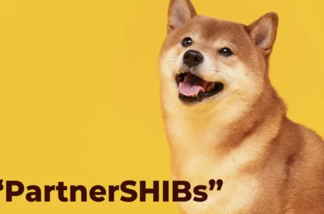 These Direct “PartnerSHIBs” Will Help SHIB Army Burn More Tokens: Details