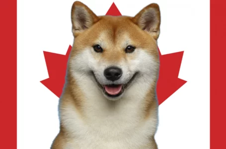 Shiba Inu Launches on Canada’s Top Crypto Trading Platform