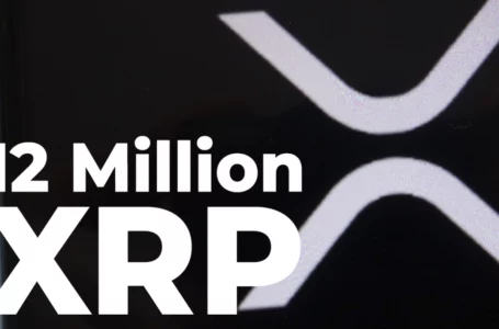 12 Million XRP Goes to Anon Address as XRP Remains Attractive for Investors