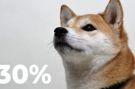 Shiba Inu Comes Back with Massive 30% Spike in March, Whales’ Transactions Increase by 349%