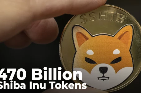 470 Billion Shiba Inu Tokens Grabbed by Whales Who Now Own 1.3 Trillion SHIB in Total