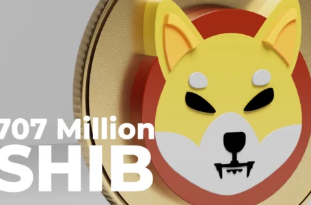 707 Million Shiba Inu Tokens Burned Over Last 48 Hours: Report