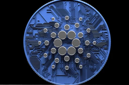 ADA Yield Fund Launched by Waves Financial to Support Cardano DeFi Growth: Details