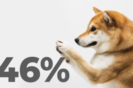 Shiba Inu’s Profitability Rises to 46% as Expectations for Future Announcements Increase