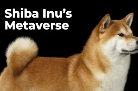 Dogecoin Co-Founder Harshly Criticizes Shiba Inu’s Metaverse