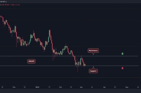 Cardano Price Analysis: ADA at Decision Point, Huge Move Incoming?