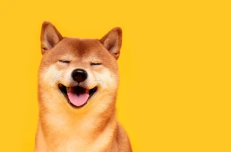 Shiba Inu Price Spikes 7%, Outperforming Other Top Coins