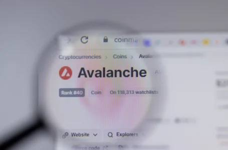 Avalanche (AVAX) to Start Trading on Europe’s Largest Crypto Exchange