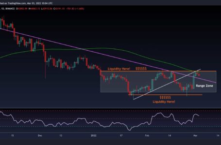 Bitcoin Price Analysis: Despite The Correction, Long-term Accumulation Indicator Just Flashed