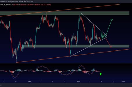 Bitcoin Facing Critical Decision Reaching Symmetrical Triangle’s Apex: BTC Price Analysis