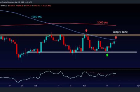 Bitcoin Price Analysis: Is $45K in Sight For BTC Following Recent Spike?