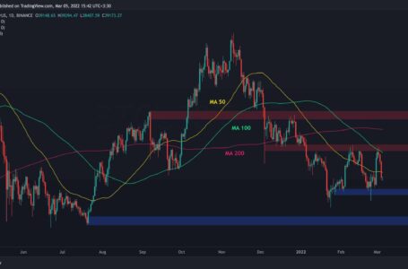 After Losing $6000 in 3 Days, This is The Next Major Support for Bitcoin (Price Analysis)