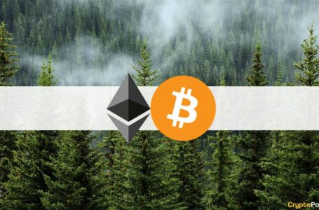 Bitcoin Charted 20-Day High, Ethereum Reclaims $3,000 (Market Watch)