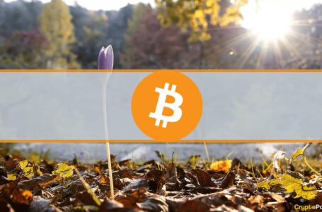 2 Years Since the March 2020 Black Thursday Crash: What Changed for Bitcoin?